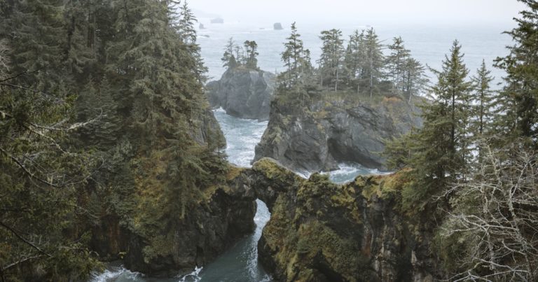 Débarras pour les régies immobilières : service partenaire Swiss Débarras