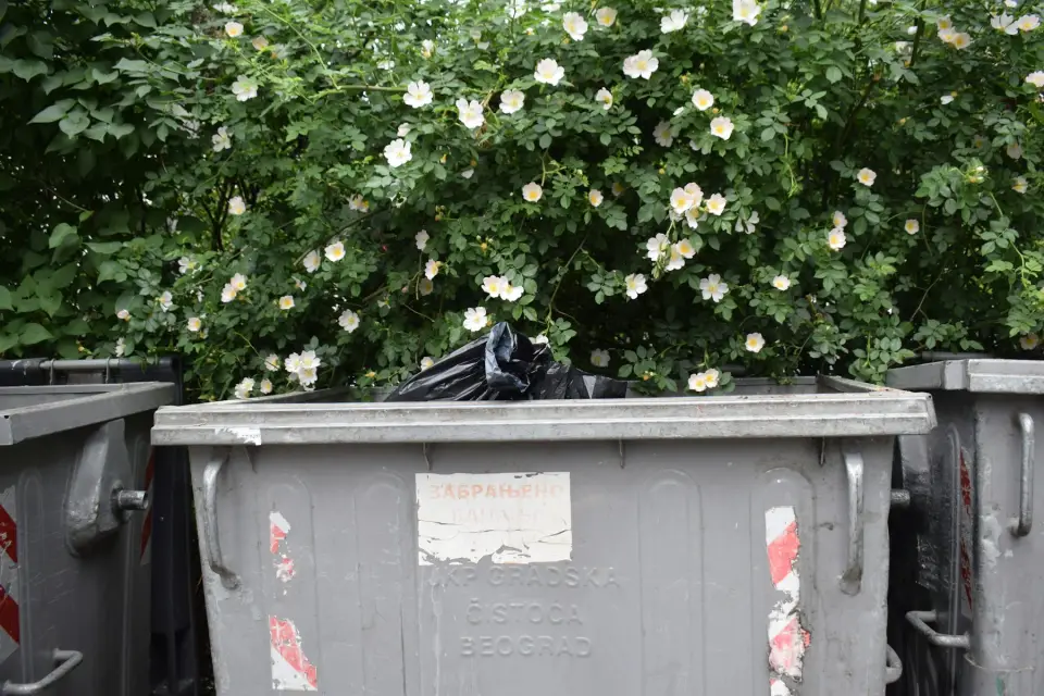 Conteneur à déchets devant un immeuble